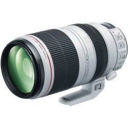 Canon EF 100-400mm f/4.5-5.6L IS II USM