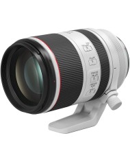 CANON RF 100-500mm f4-5.7 L IS USM