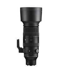 SIGMA 60-600mm f4.5-6.3 DG DN OS L-MOUNT