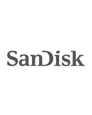 SANDISK