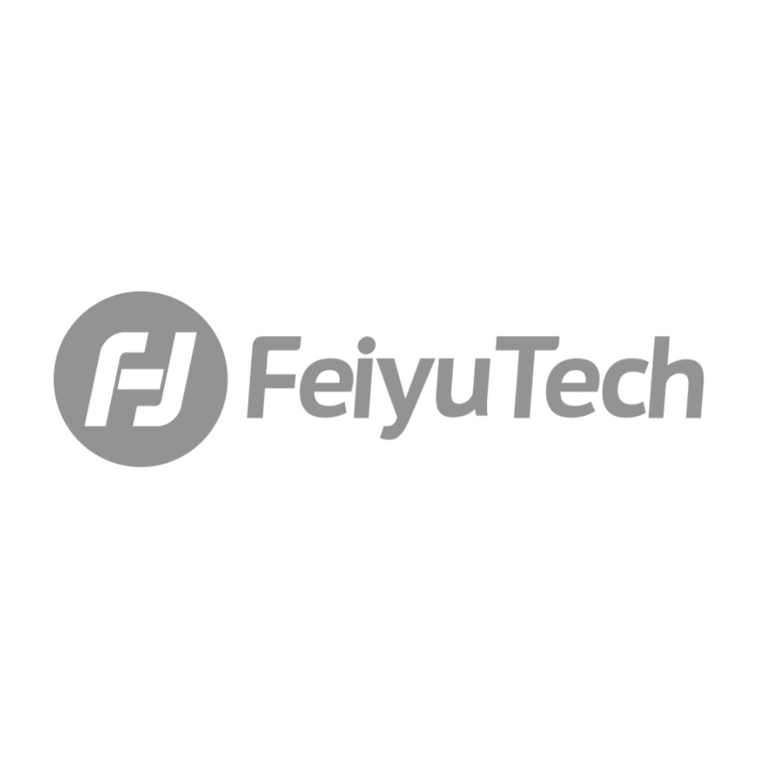 FEIYU